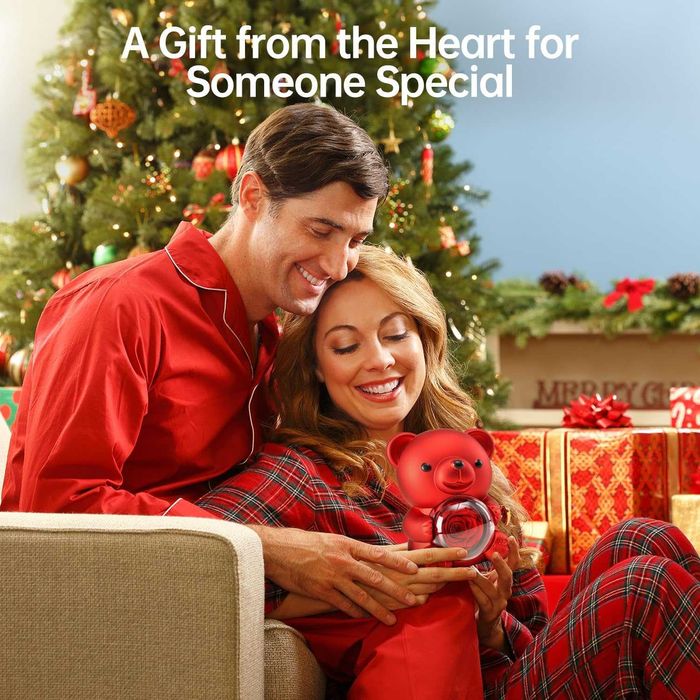 Подаръчна кутия мече с вечна роза сребърно колие сърце Св Валентин