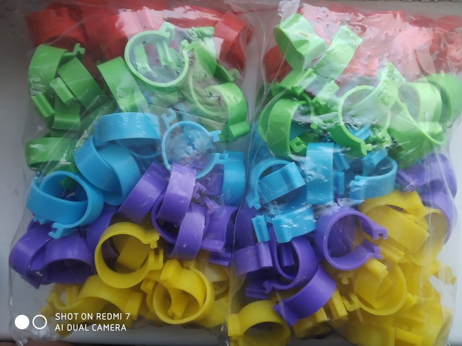 Кольца для голубей разные