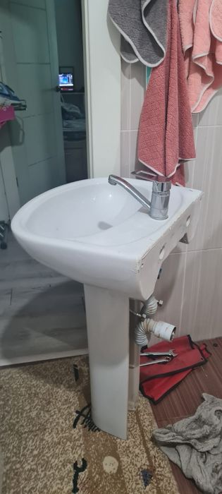 Раковина -тюльпан