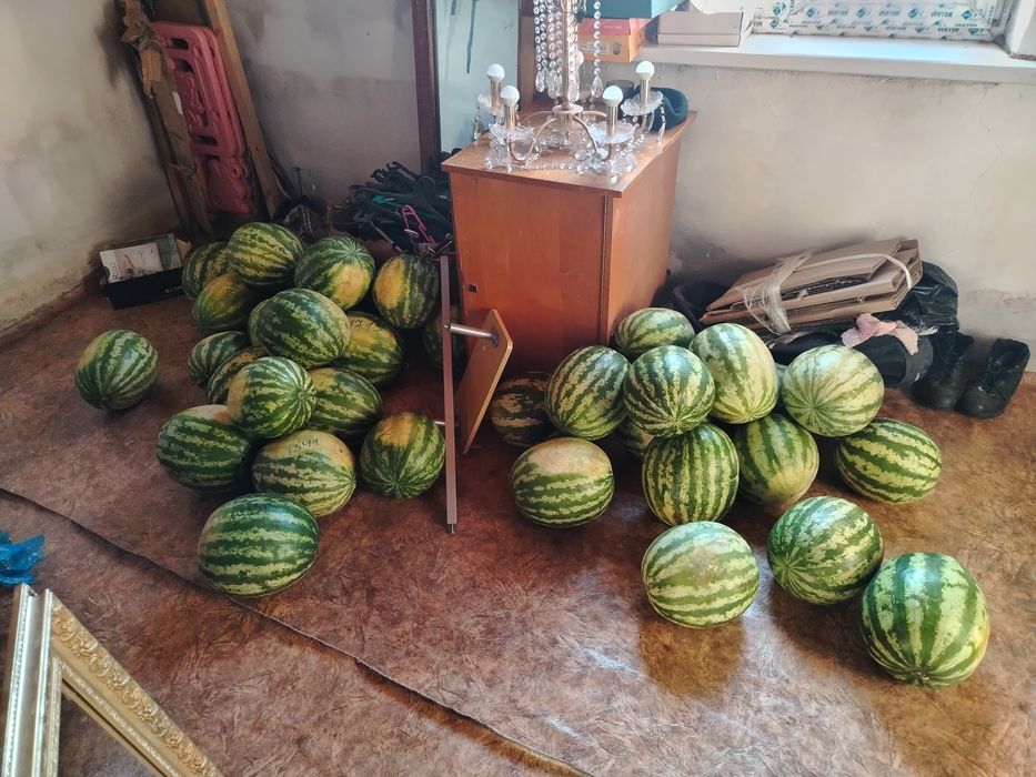 Арбузы Лебяжьевские