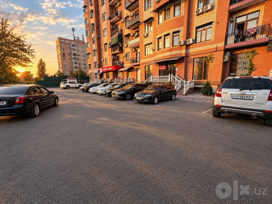 Жентра сухой аренда