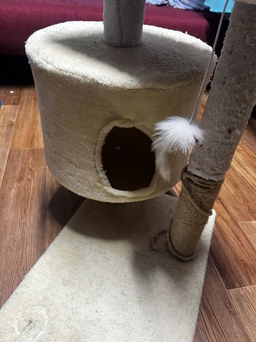 Кошачий домик для кошек