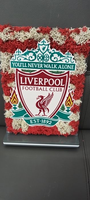 Декорации от жив скандинавски мъх