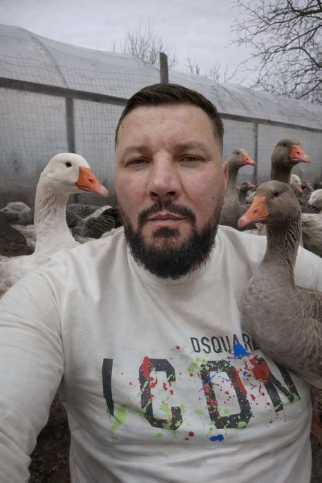 Vand gaste si gaini 30 de lei bucata