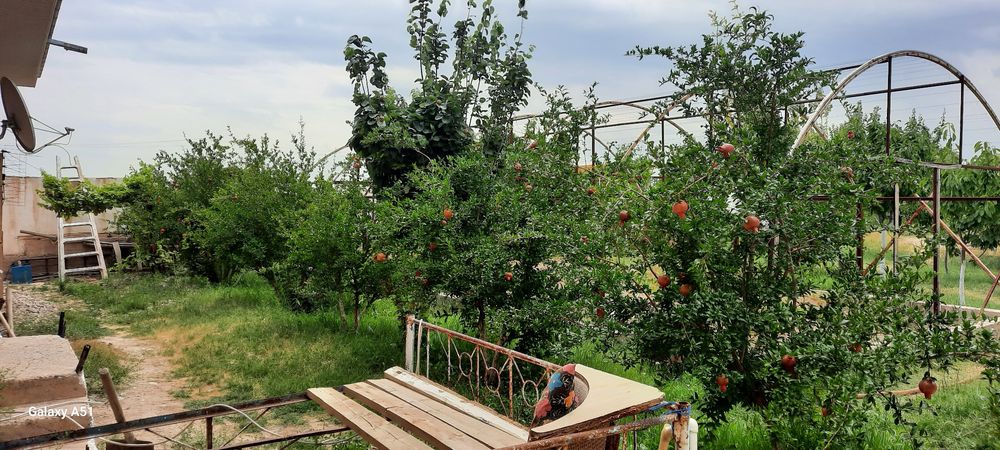 Дом на земле природа