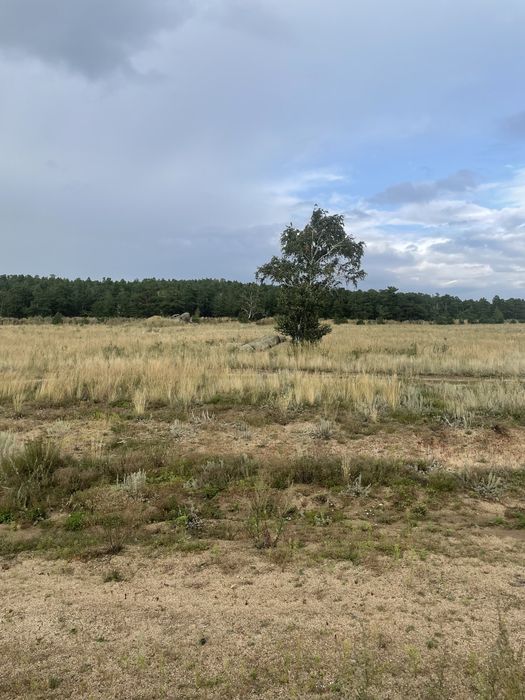 Участок 20 соток боровое