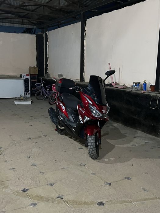 Мопед.      Maxi