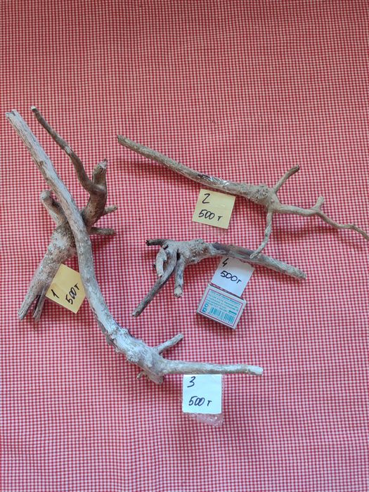 Коряги для поделок или аквариума