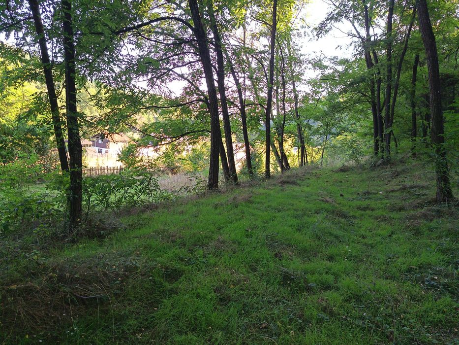 Vând teren Păcuraru