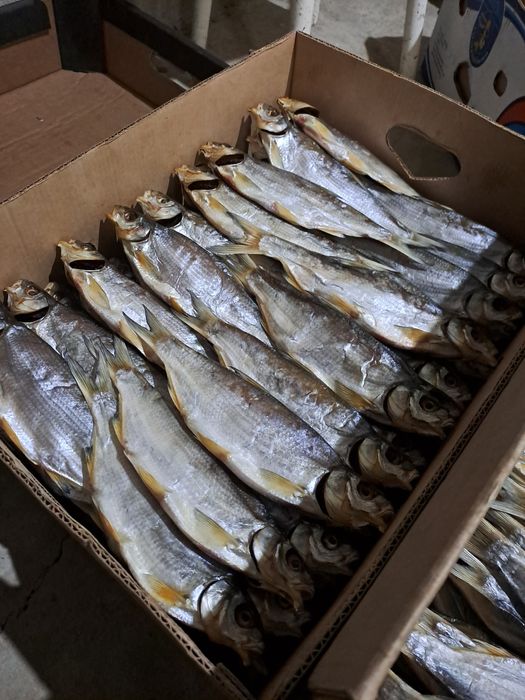 Рыбец вяленый рыба малосольный