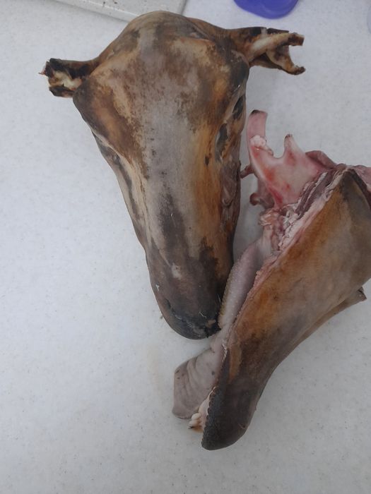 Батыл майлар