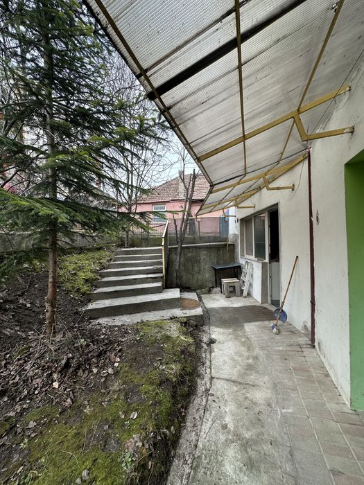 Garsoniera pet friendly, USAMV