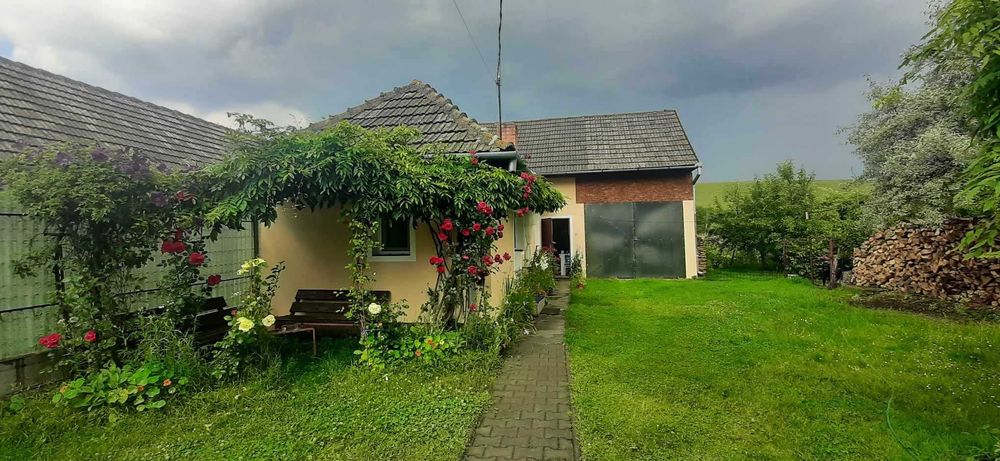 Două case de vânzare, în aceeași curte!!!