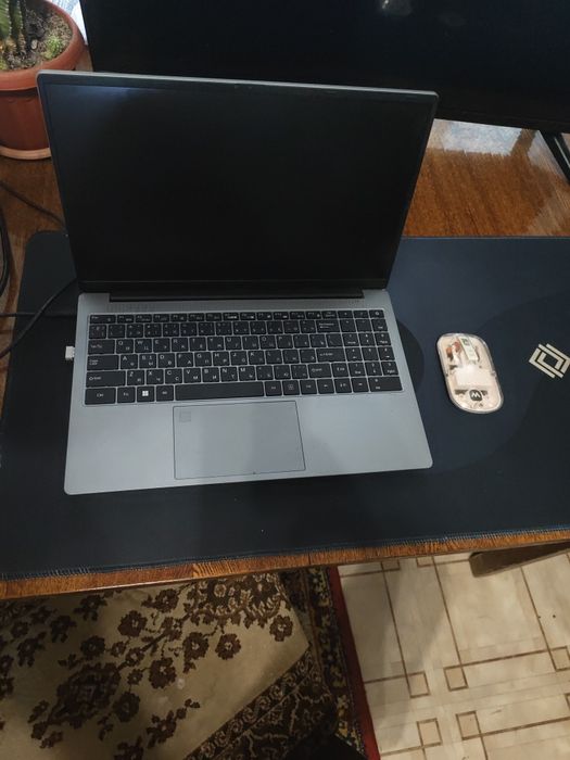 Ноутбук Mizone Pascal 1060