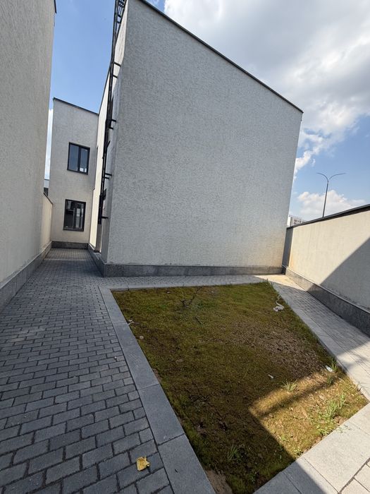 Алфраганус продается