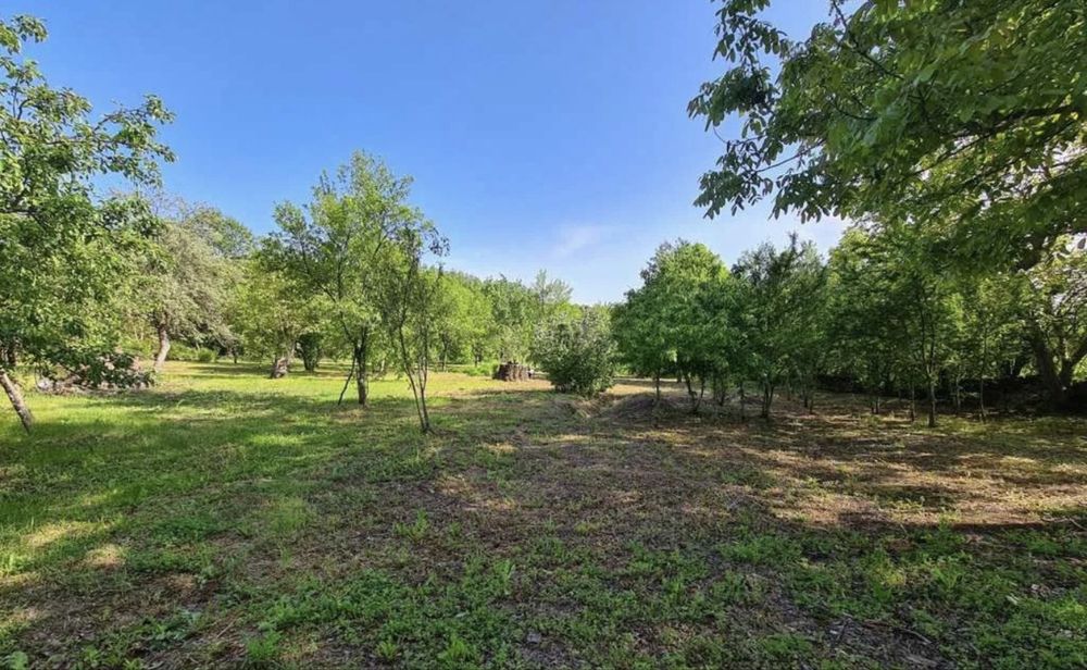 Къща в село Турчинча