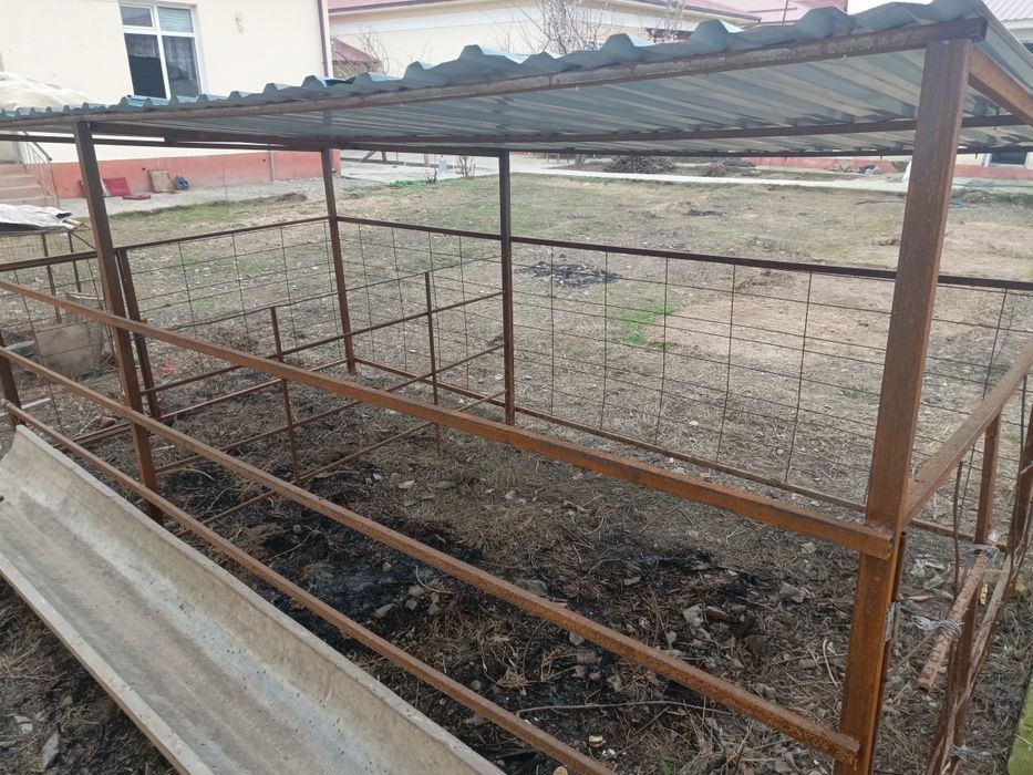 Qoʻylar uchun qoʻraxona