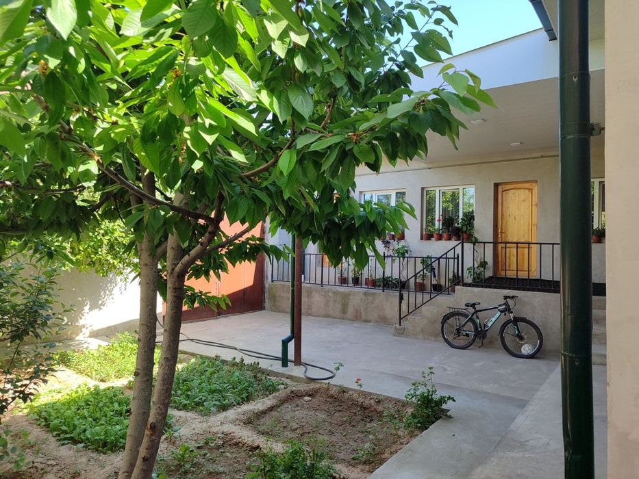 Assalomaleykum Bodomzorda 5 xonali uchastka sotiladi