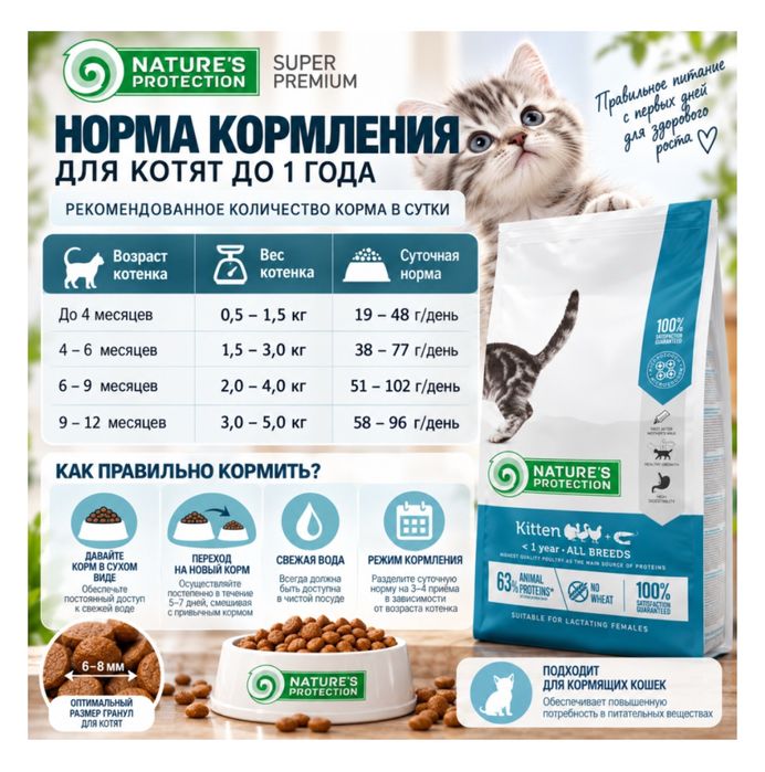 Корм для котенок