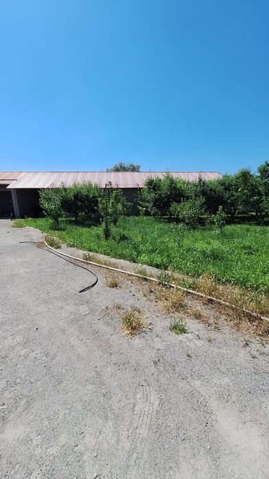 Земля 50 соток, Кибрай, Ункургон, Обод