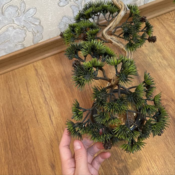 Искуственный бансай