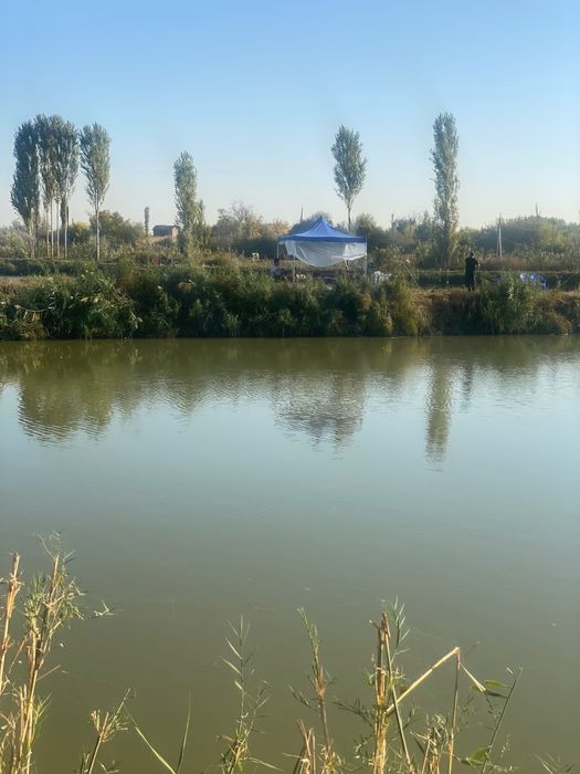 Рыбалка, проточная вода. Вкусная очень рыба