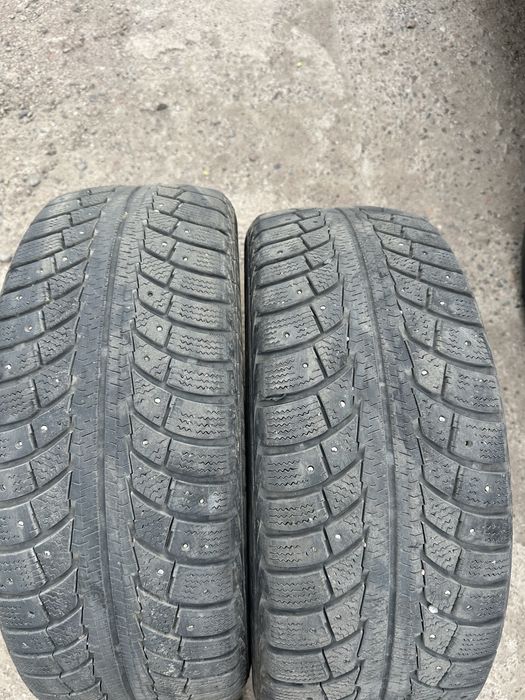 титанка с шигами 4лето 4зима