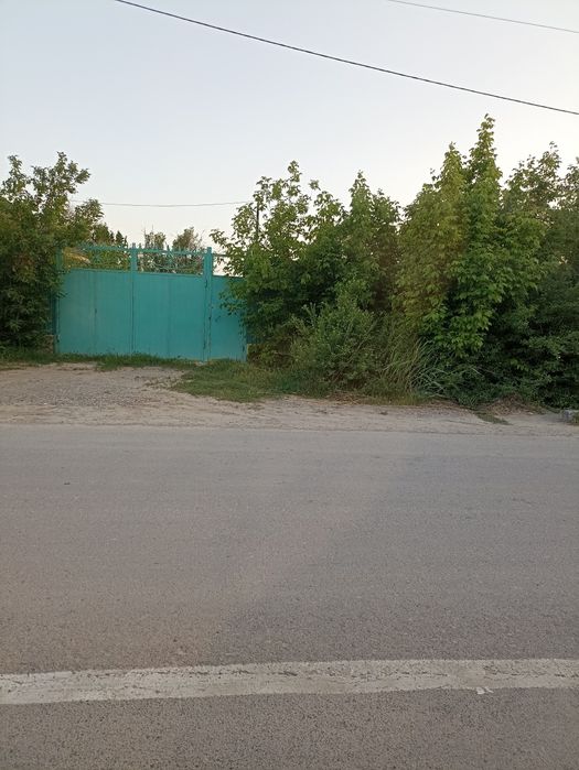 Сізге аузыңыздағы мүшенің сезімі ұнай ма?