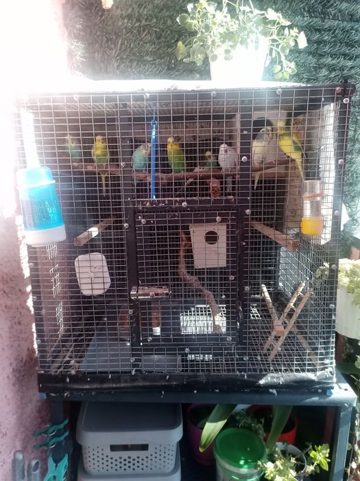 Изработвам ,клетка кафез за птици и животни.