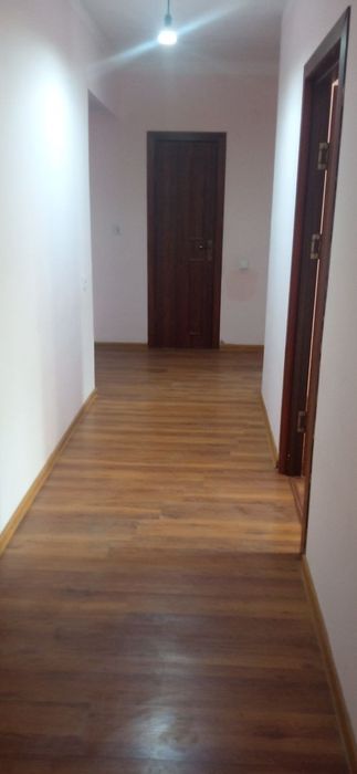 Dom.                .