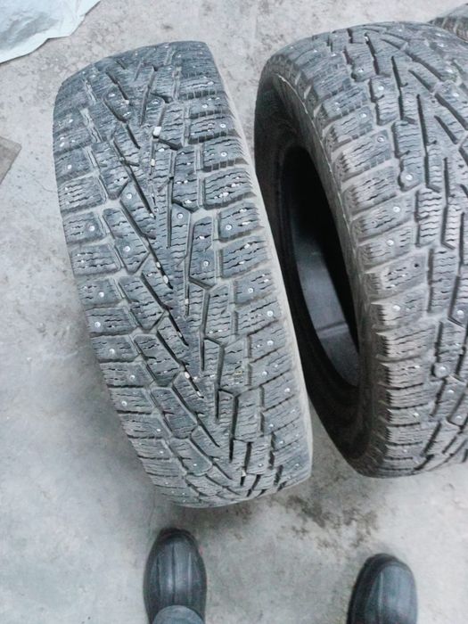 Продам ризину зима