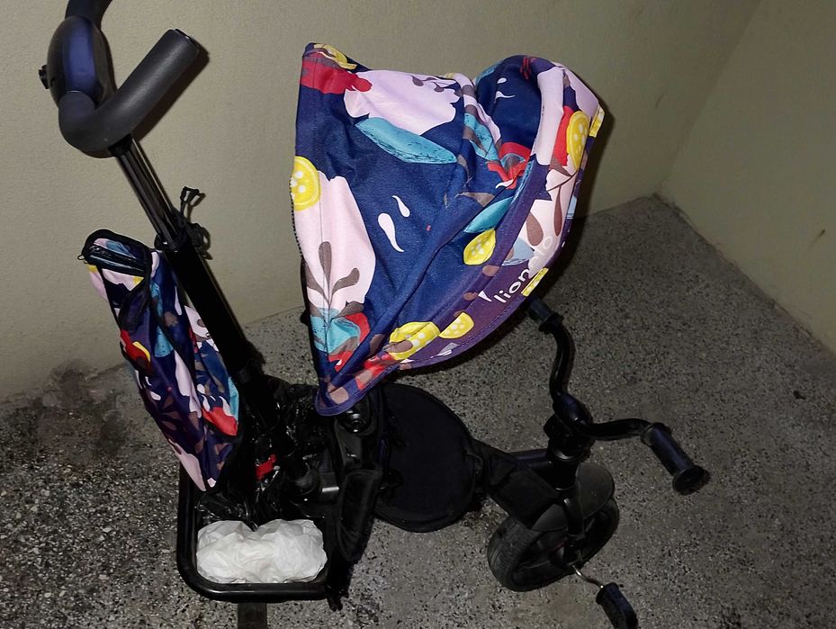 Детска триколка Lionelo