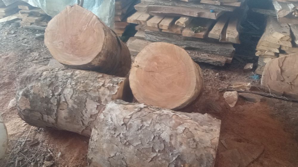 Goshtonka aga zakas olamza