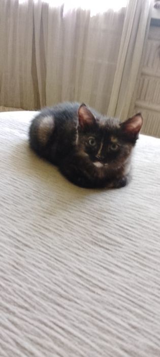 Сердечно над глазиком-удача в жизни!