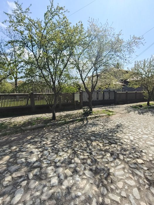 Casă de vânzare in Rosiori de Vede Teleorman  (doua case/curte de 1500mp)