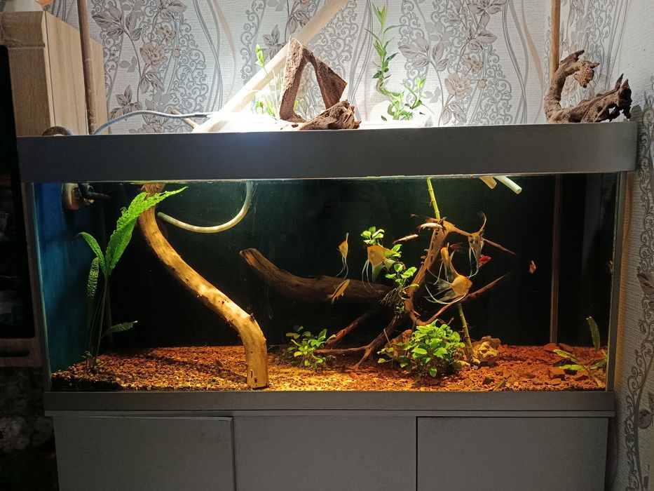 Аквариум в сборе