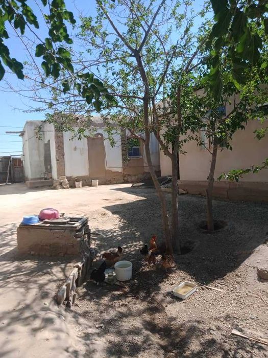 Срочно Уй сатылады