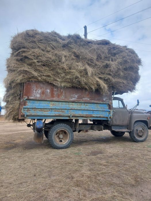 Сено / сено в рулонах / россыпной