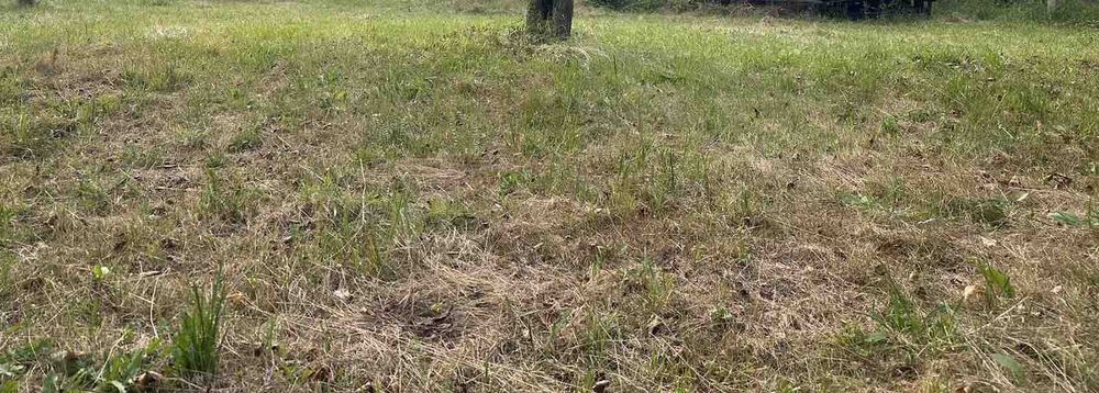 Продава се Парцел в с. Рибарица, Област Ловеч - 1765 кв.м за 26 €/кв.м - Снимка #7