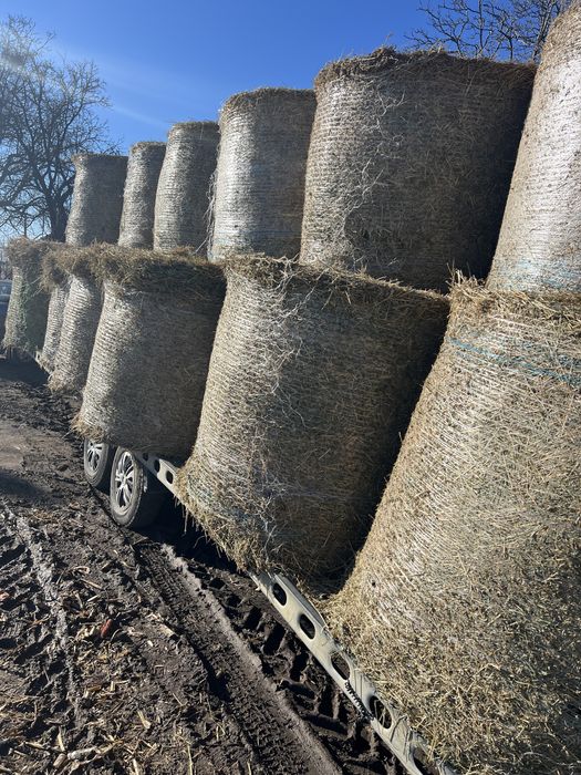 Baloti lucerna (transport contra cost motorina)