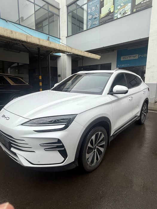 Byd chempion gibrid 150 full 2025