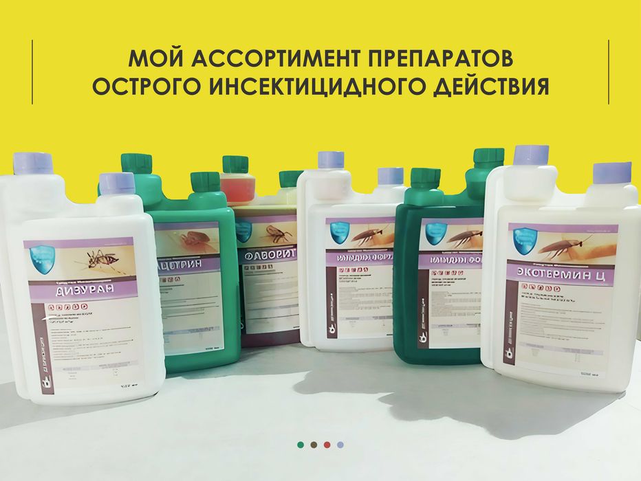 Уничтожение клопов, травить тараканов. Дезинфекция