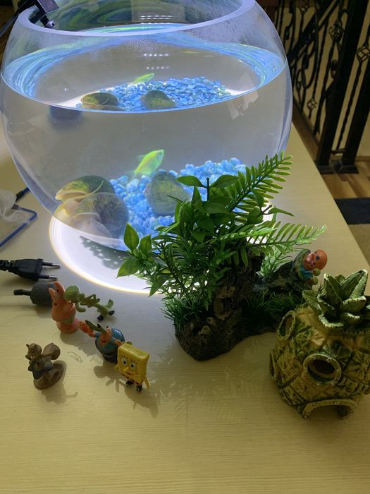 Аквариум круглый большой 8-10 л