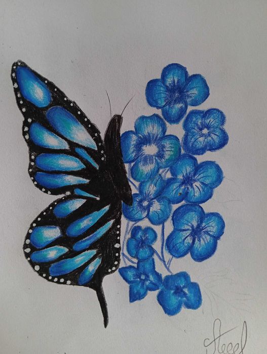 Картини на тринадесетгодишната Алекс