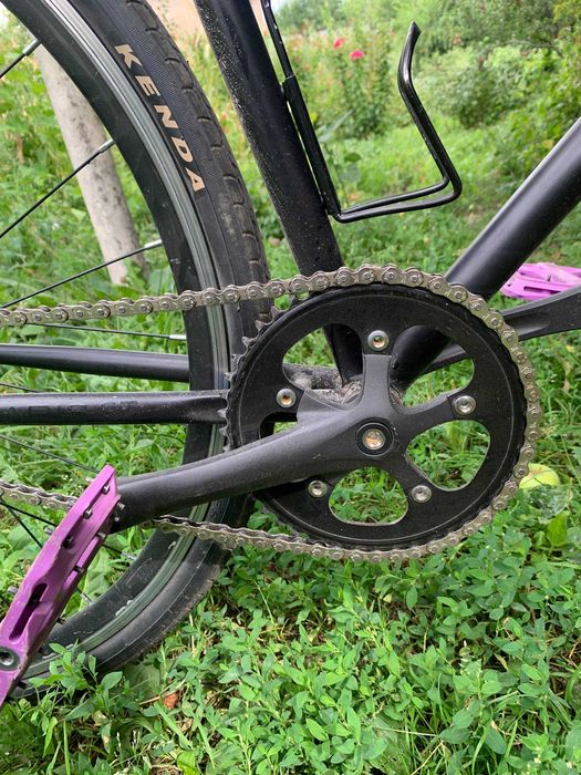 Octopus Vulgaris ST | fixed gear, single speed