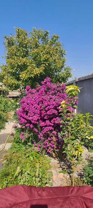 Продаётся частный дом