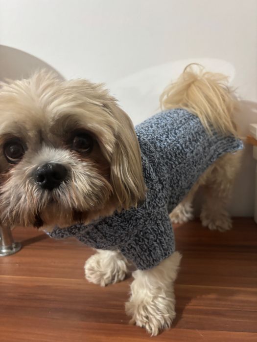 Haina pentru căței croșetate