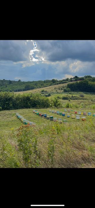 Vand teren in comuna schitu duca cu iaz de peste si salcami