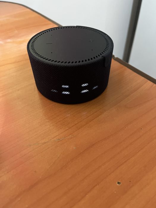 Алиса сатылады новый