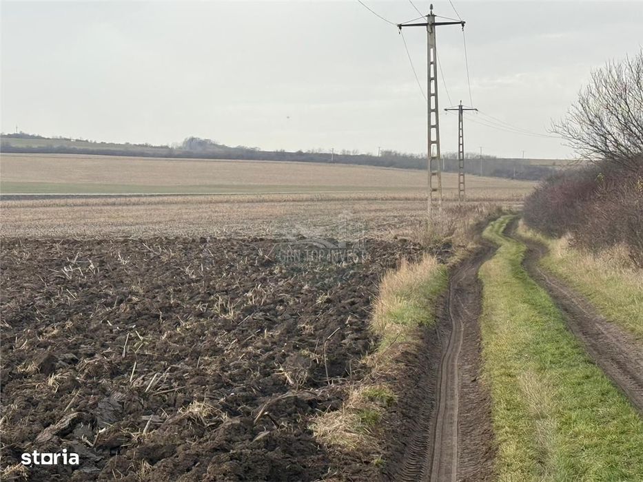 Teren extravilan in EXCLUSIVITATE 20300 mp in Sura Mica